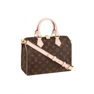SPEEDY 25 bag M41113